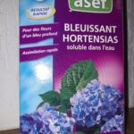 ASEF Hortensien Blaumacher 900gr